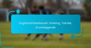 Ungdomsfotballskudd: Utvikling, Teknikk, Grunnleggende